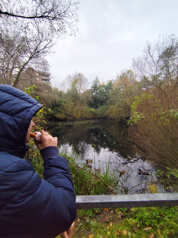 Zeit in der Natur